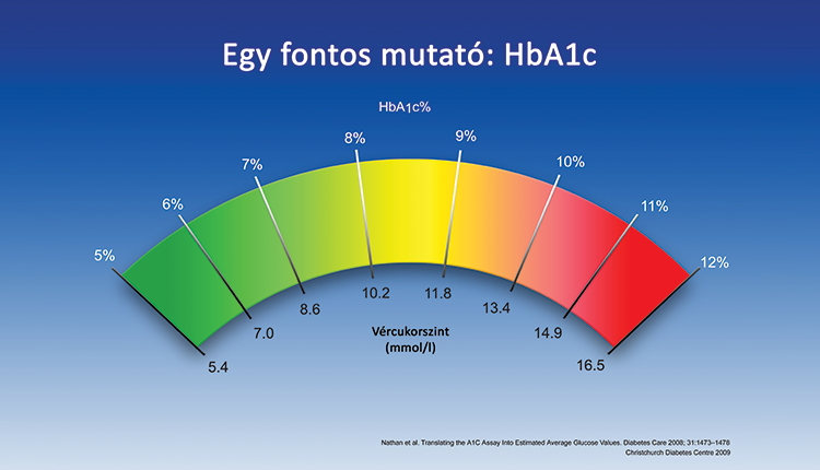 A szövetközi cukormérés mutatószámai – 2. rész